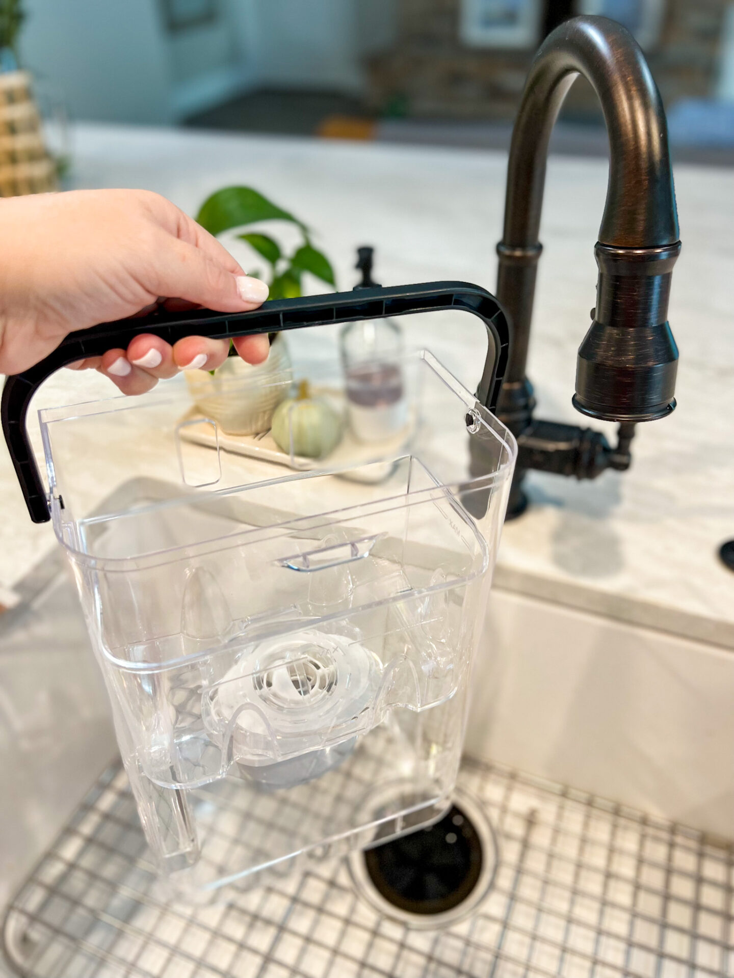 Aurora by Aqua Optima - Perfect Small Appliance for Tea Lovers! - GatorMOM